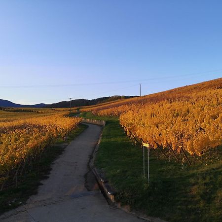L'Altenberg Bergheim Buitenkant foto