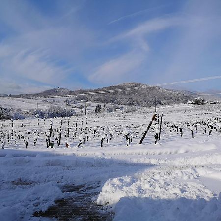 L'Altenberg Bergheim Buitenkant foto