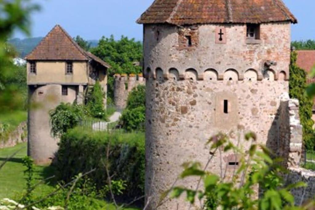 L'Altenberg Bergheim Buitenkant foto