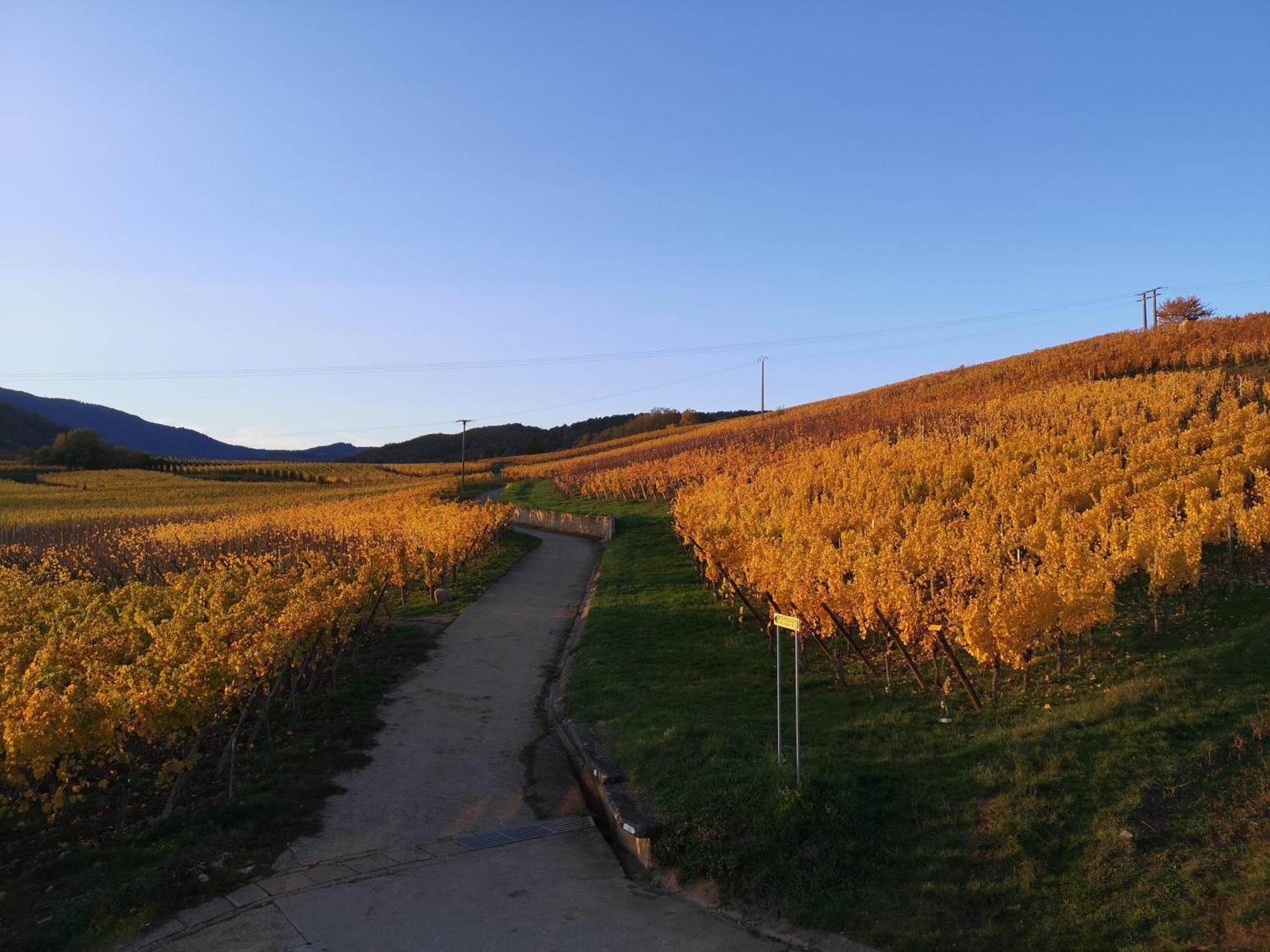 L'Altenberg Bergheim Buitenkant foto