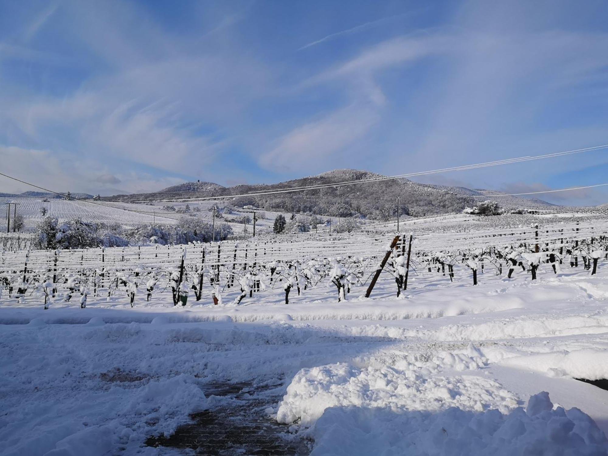 L'Altenberg Bergheim Buitenkant foto
