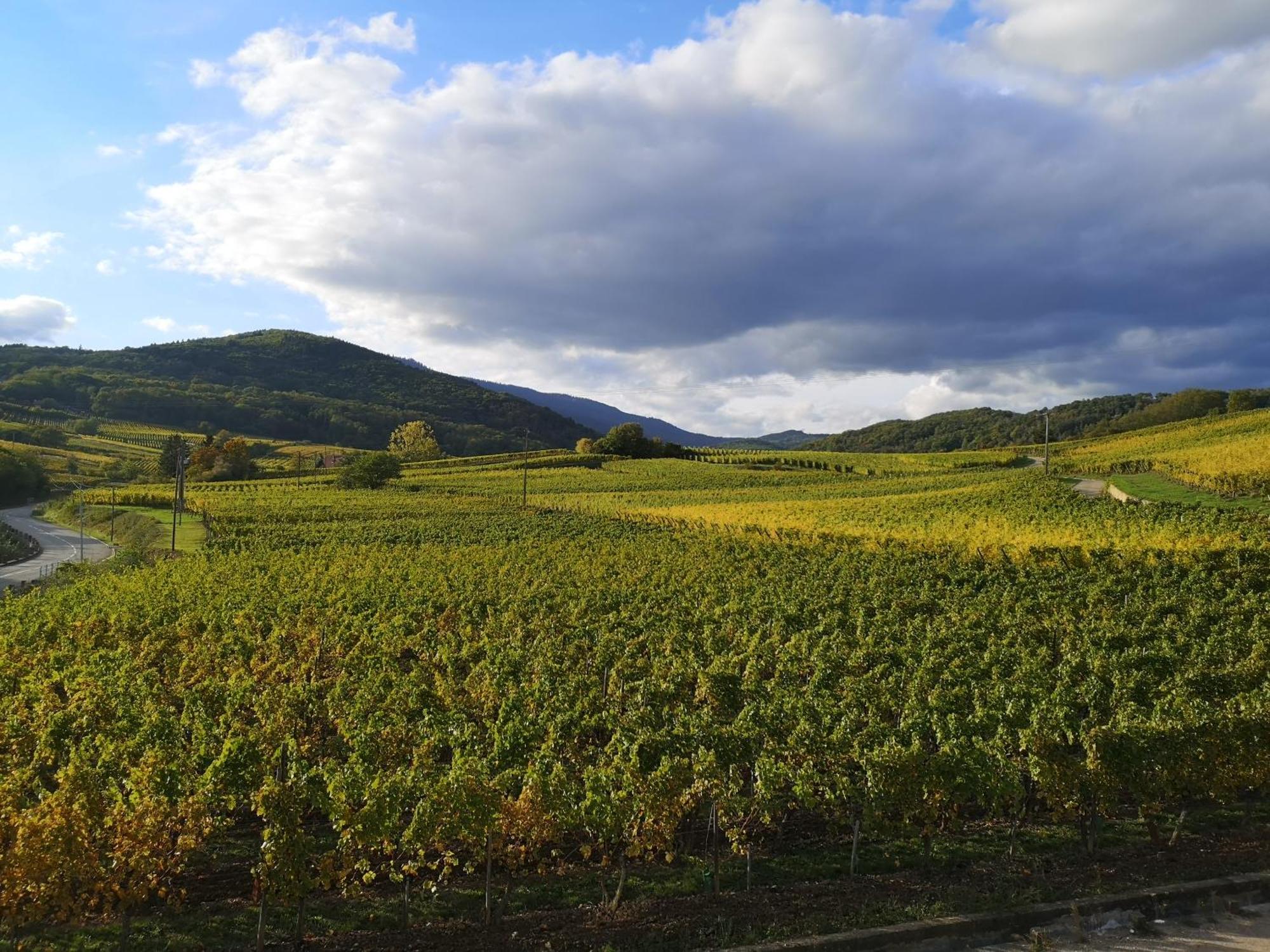 L'Altenberg Bergheim Buitenkant foto